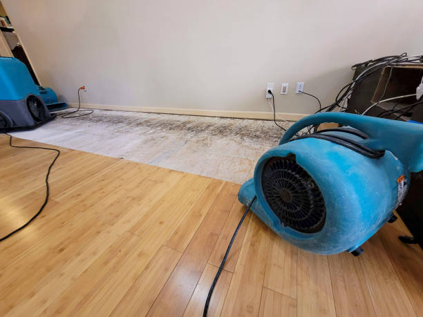 Professional Emergency Water Damage technician working in Benson, MN